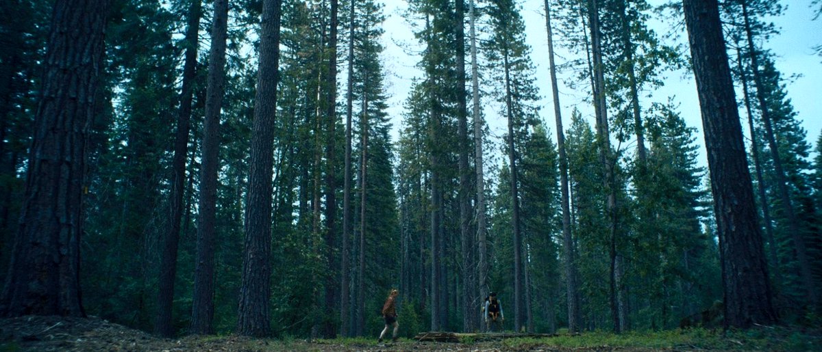 Photo from the movie To Die Alone [2024]