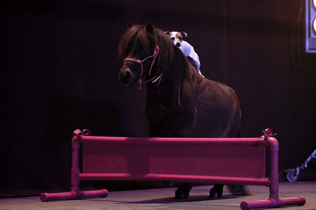 Photo from the movie Adventures of Dally & Spanky