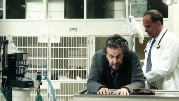 Photo from the movie The Humbling