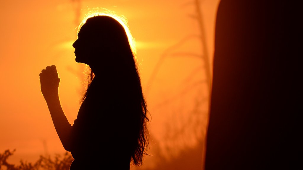 Photo from the movie Maya Dardel