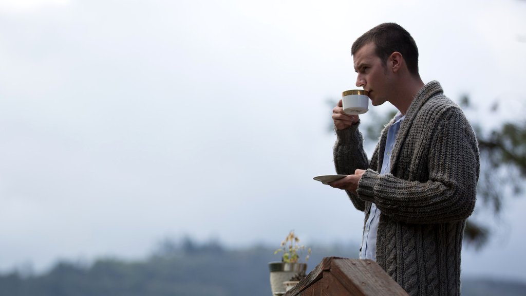 Photo from the movie Maya Dardel