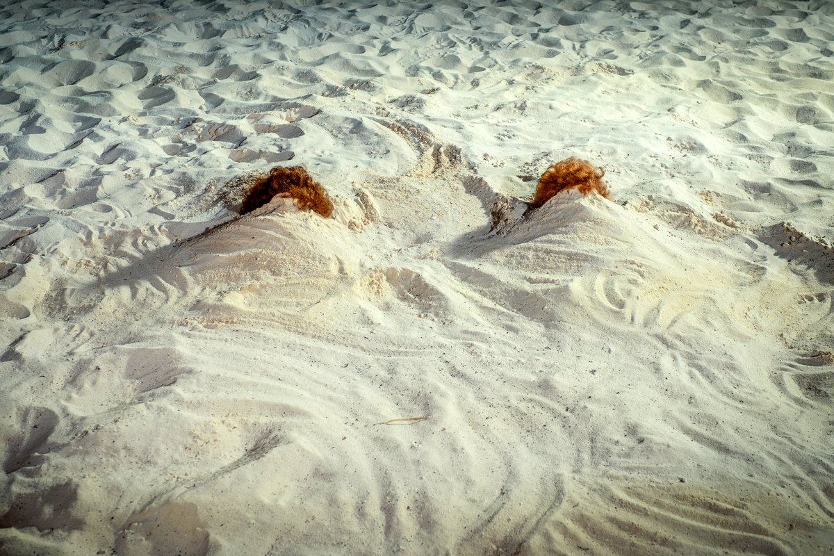 Photo from the movie Barb and Star Go to Vista Del Mar