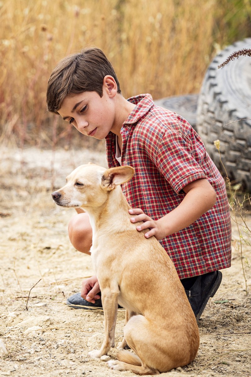 Photo from the movie Little Nicholas' Treasure