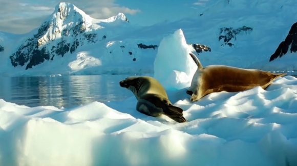 Photo from the movie Time to Choose