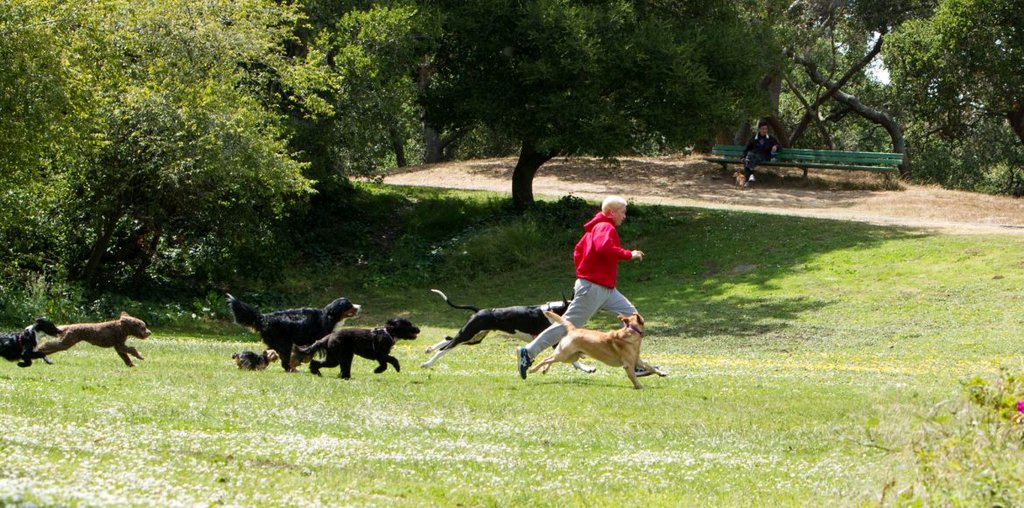 Photo from the movie Unleashed