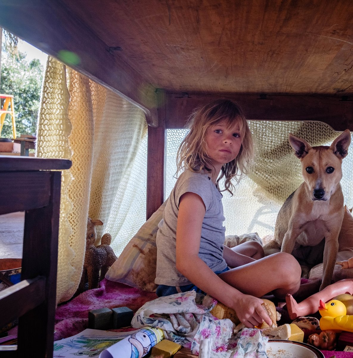 Photo from the movie Don't Let's Go to the Dogs Tonight