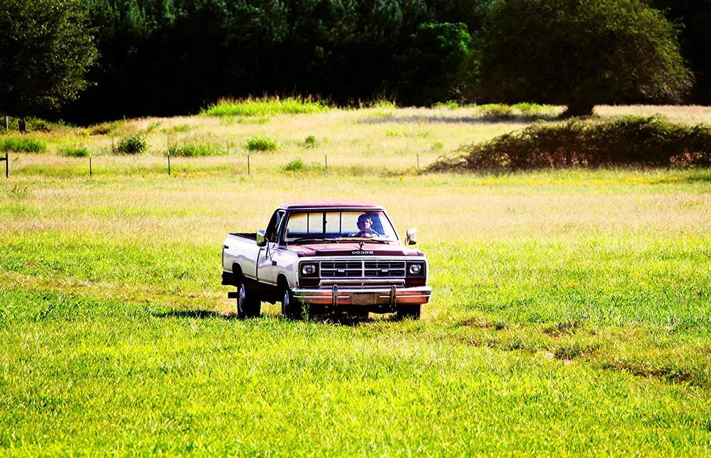 Photo from the movie Full Count