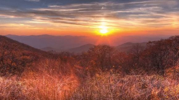 Photo from the movie I Will Follow You Into the Dark