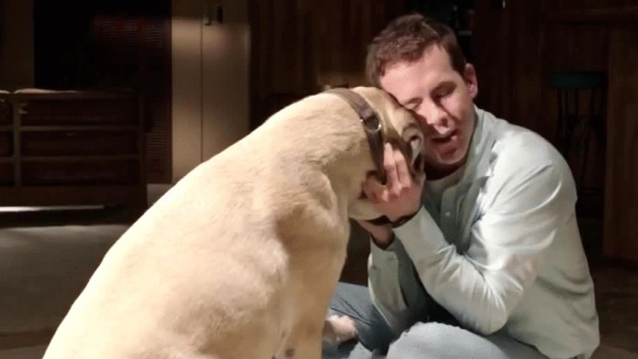 Photo from the movie The Voices