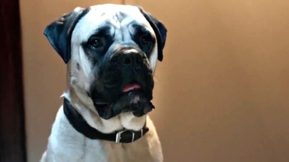 Photo from the movie The Voices