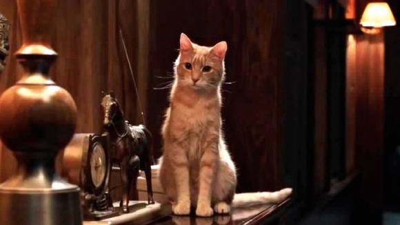 Photo from the movie The Voices