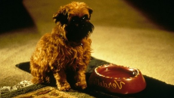 Photo from the movie As Good As It Gets