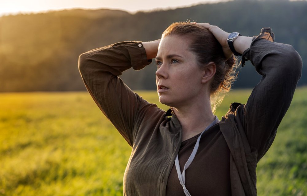 Photo from the movie Arrival