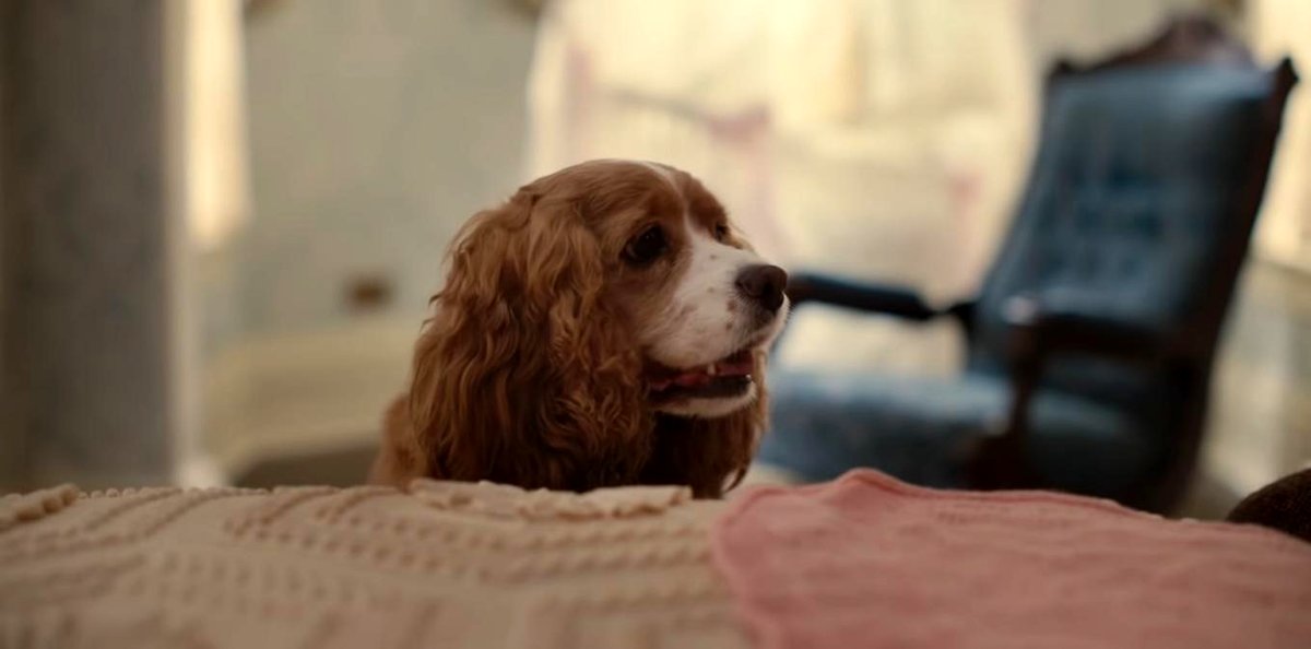 Photo from the movie Lady and the Tramp