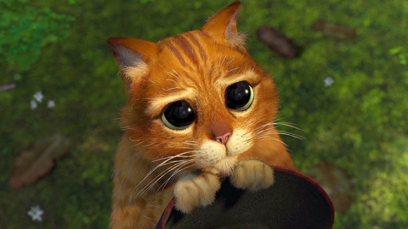 Photo from the movie Shrek