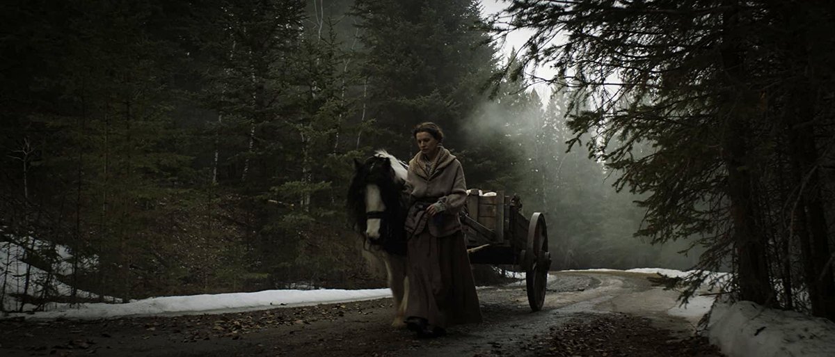 Photo du film The Curse of Audrey Earnshaw [2020]