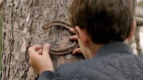 Photo from the movie Algonquin