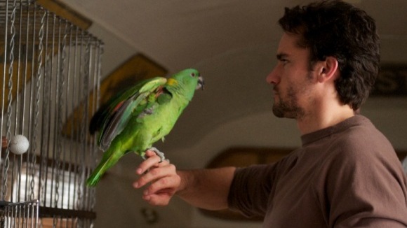 Photo from the movie A Bird of the Air