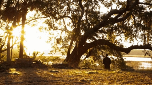 Photo from the movie Savannah