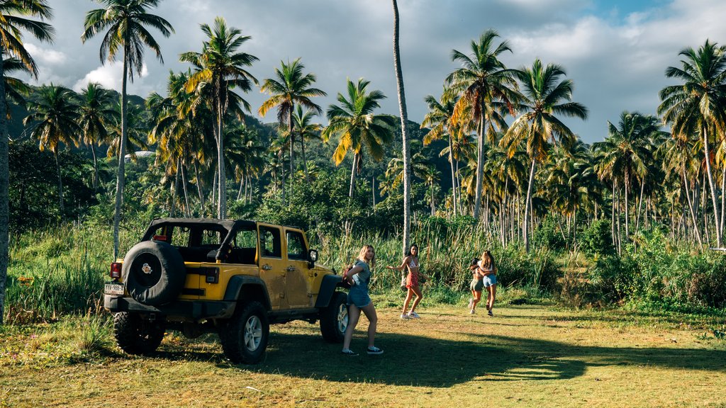 Photo from the movie 47 Meters Down: Uncaged