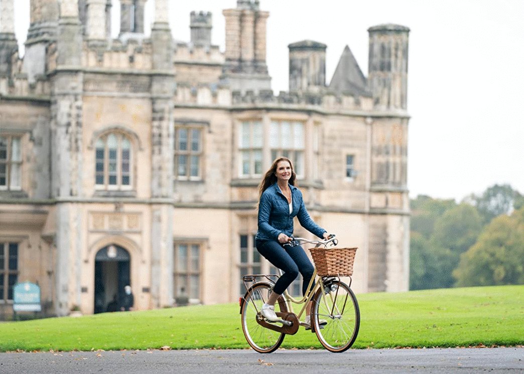 Photo from the movie A Castle for Christmas