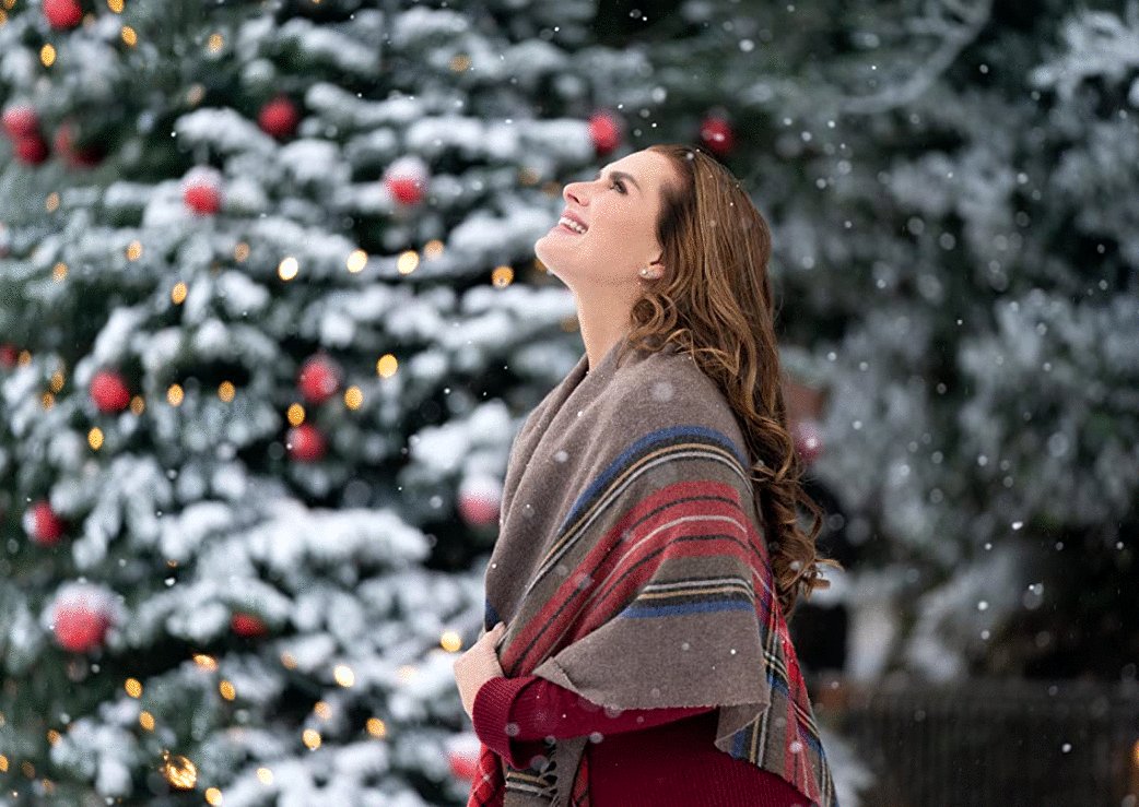 Photo from the movie A Castle for Christmas