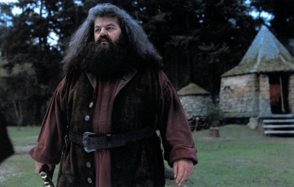 Photo from the movie Harry Potter and the Sorcerer's Stone