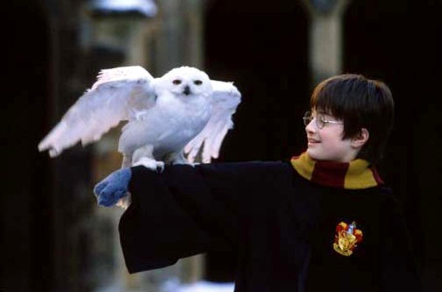 Photo from the movie Harry Potter and the Sorcerer's Stone