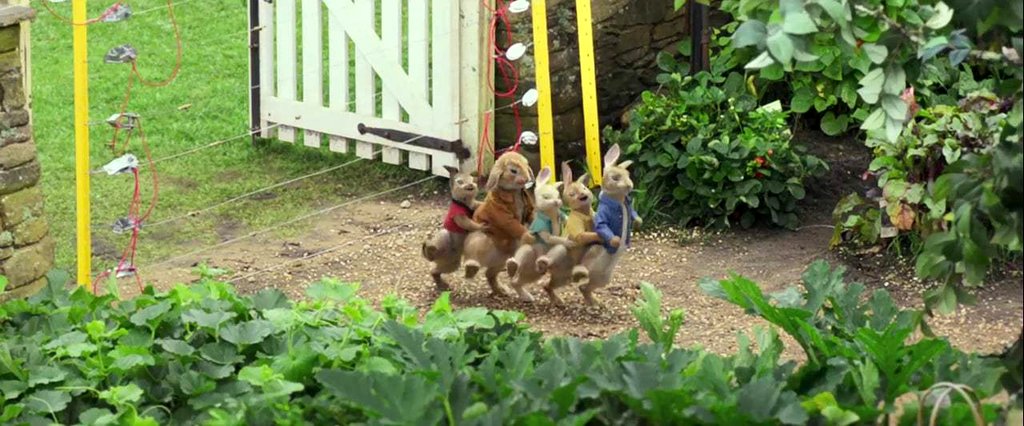 Photo from the movie Peter Rabbit