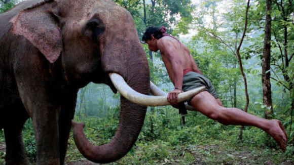 Photo from the movie The Protector