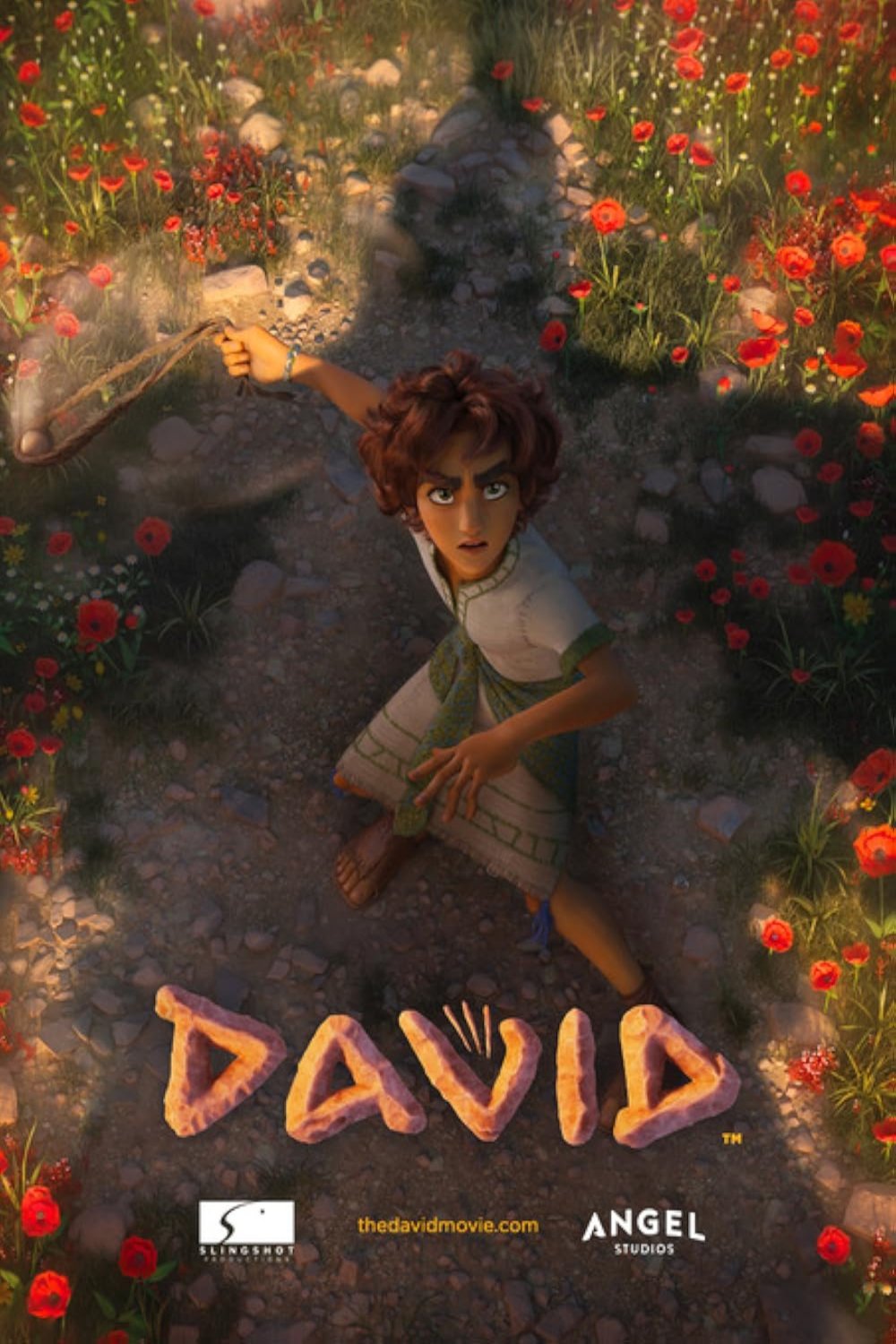 Poster of the movie David v.f.