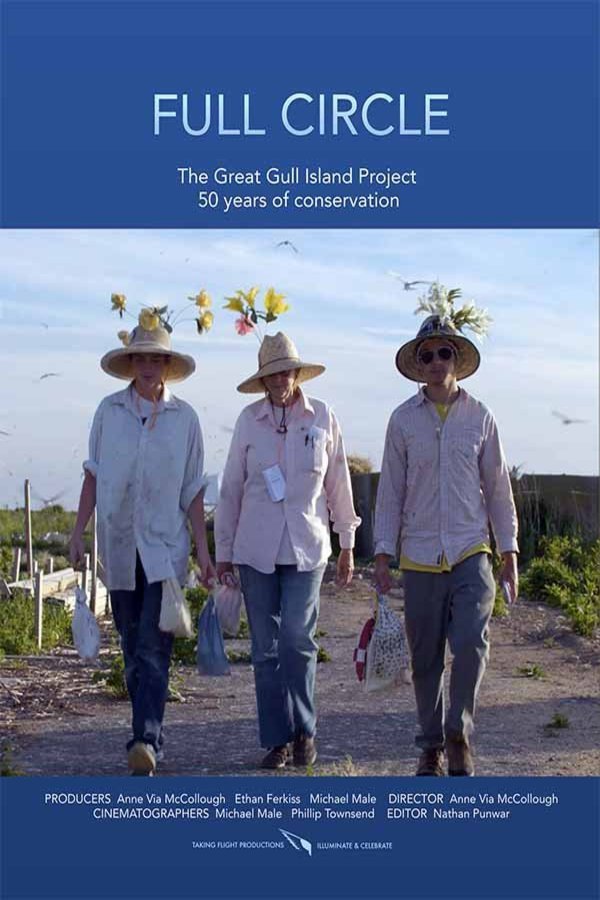 Poster of the movie Full Circle