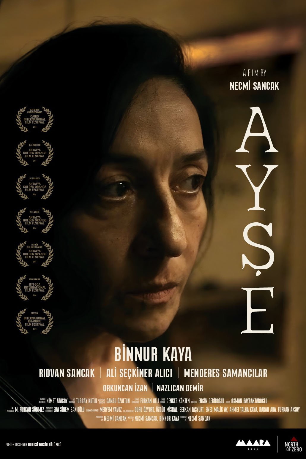 Poster of the movie Ayse [2024]