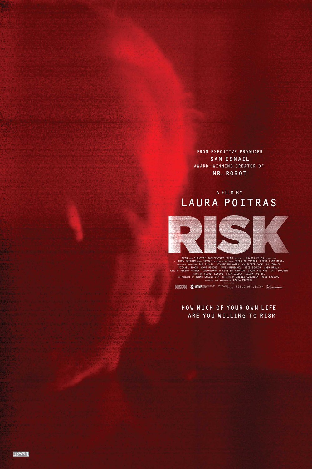 L'affiche du film Risk [2016]