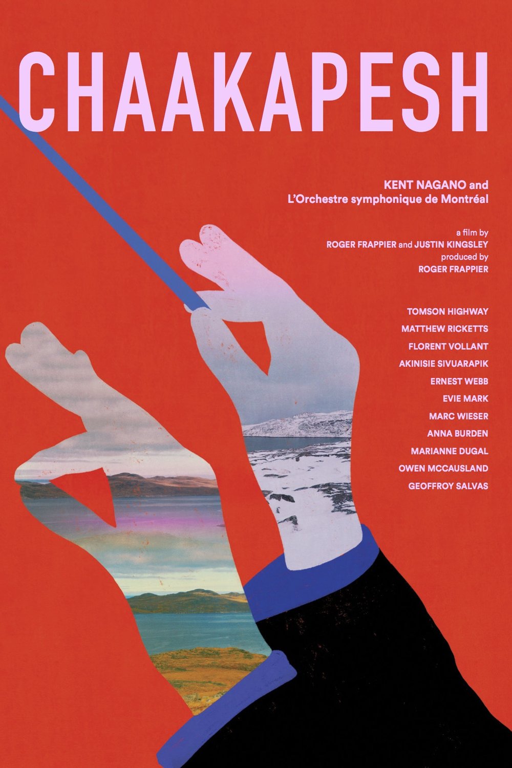 Poster of the movie Chaakapesh