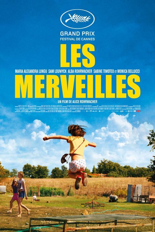 L'affiche du film Les Merveilles [2014]