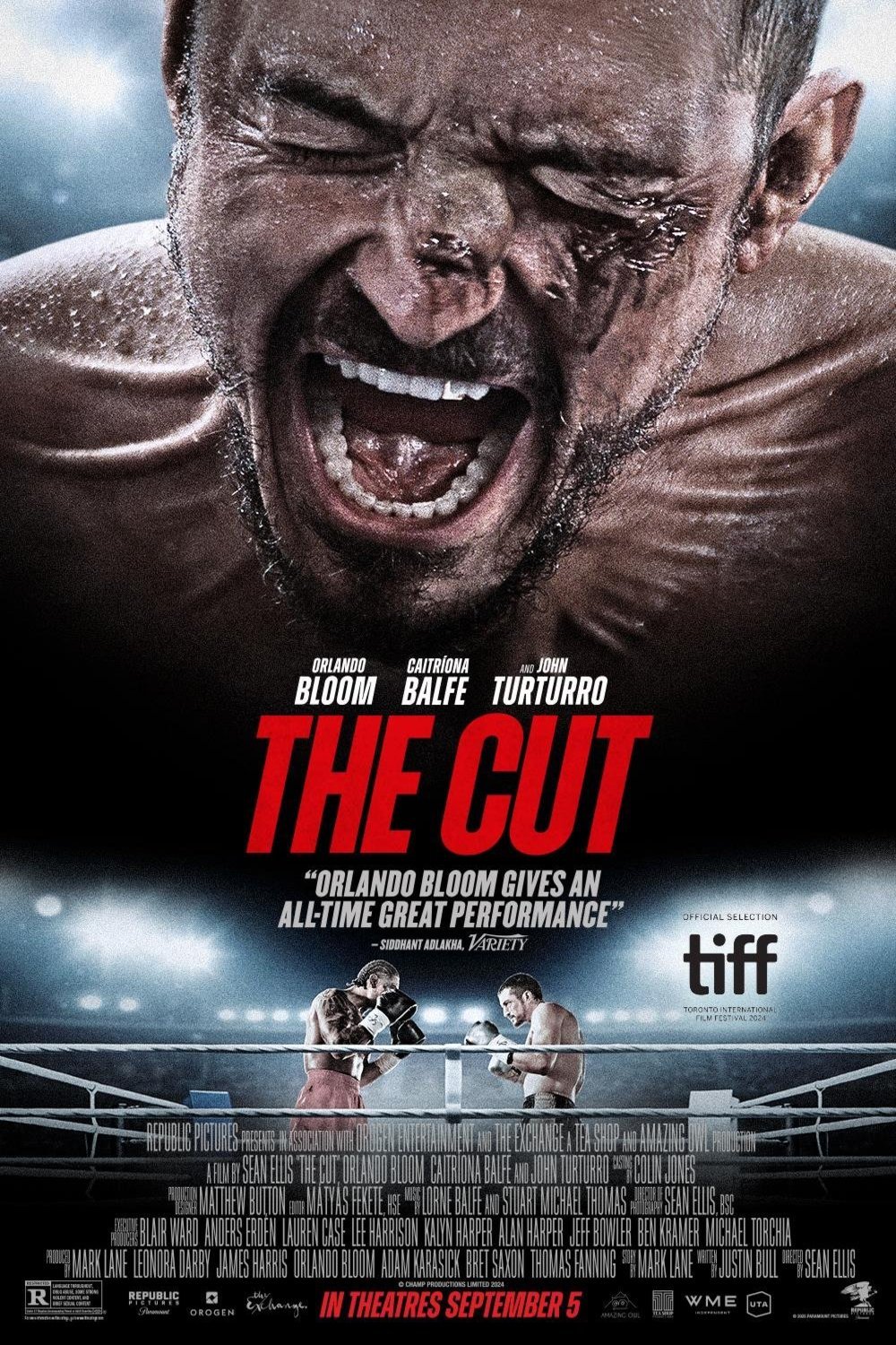 Poster of the movie The Cut