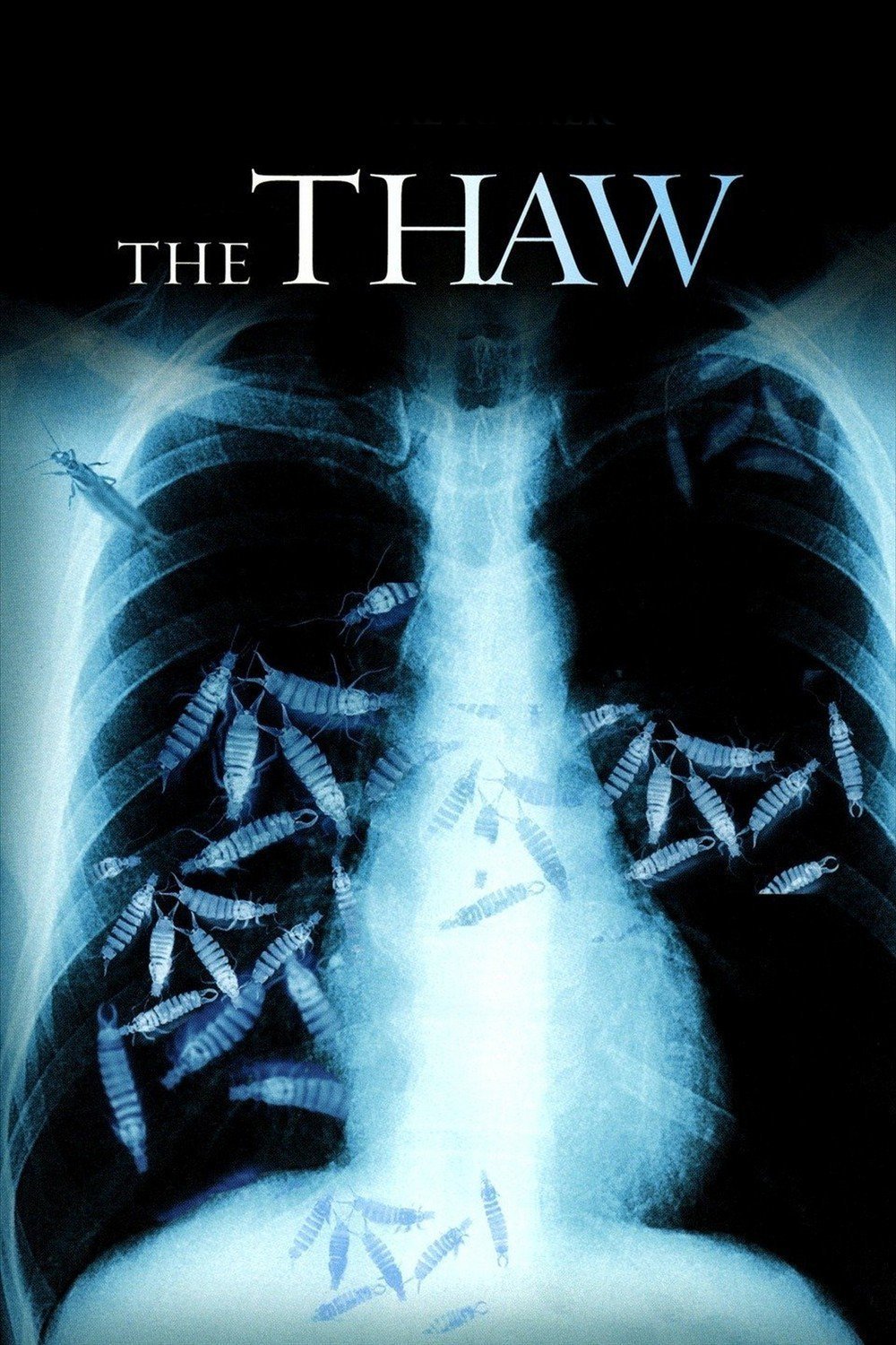 Poster of the movie The Thaw