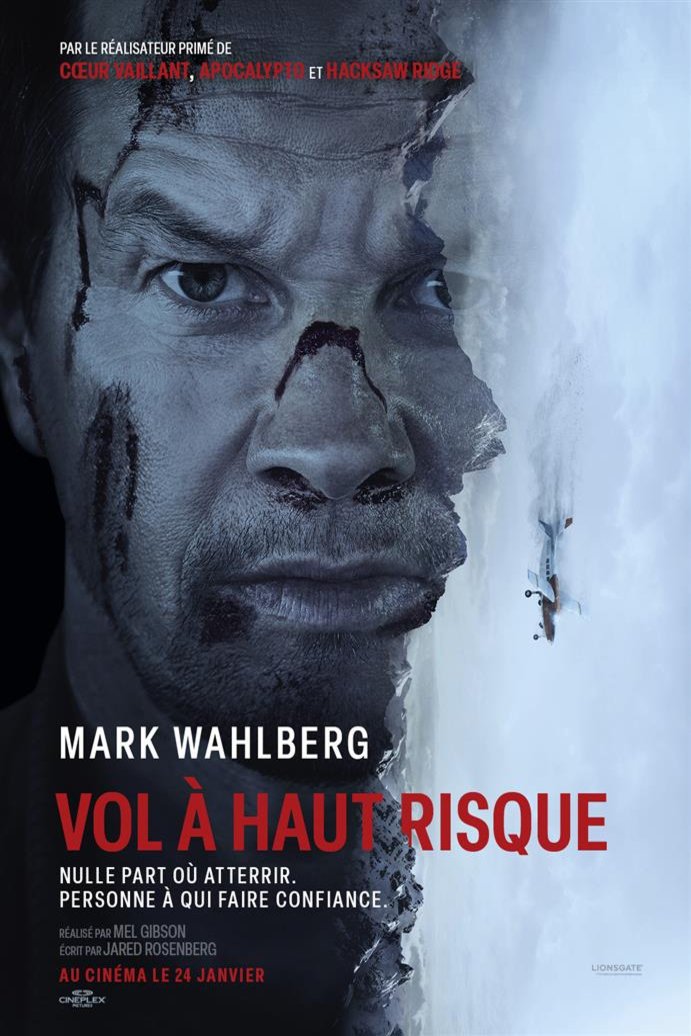 Poster of the movie Vol à haut risque