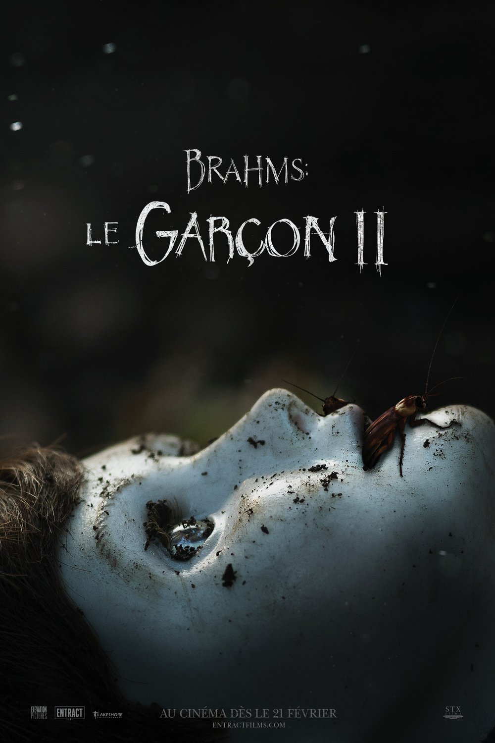 L'affiche du film Brahms: Le garçon II [2019]