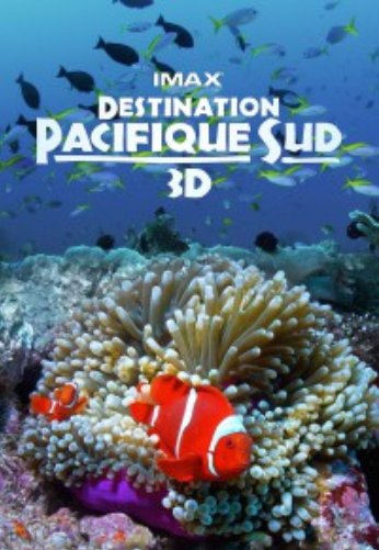 L'affiche du film Destination Pacifique Sud [2013]