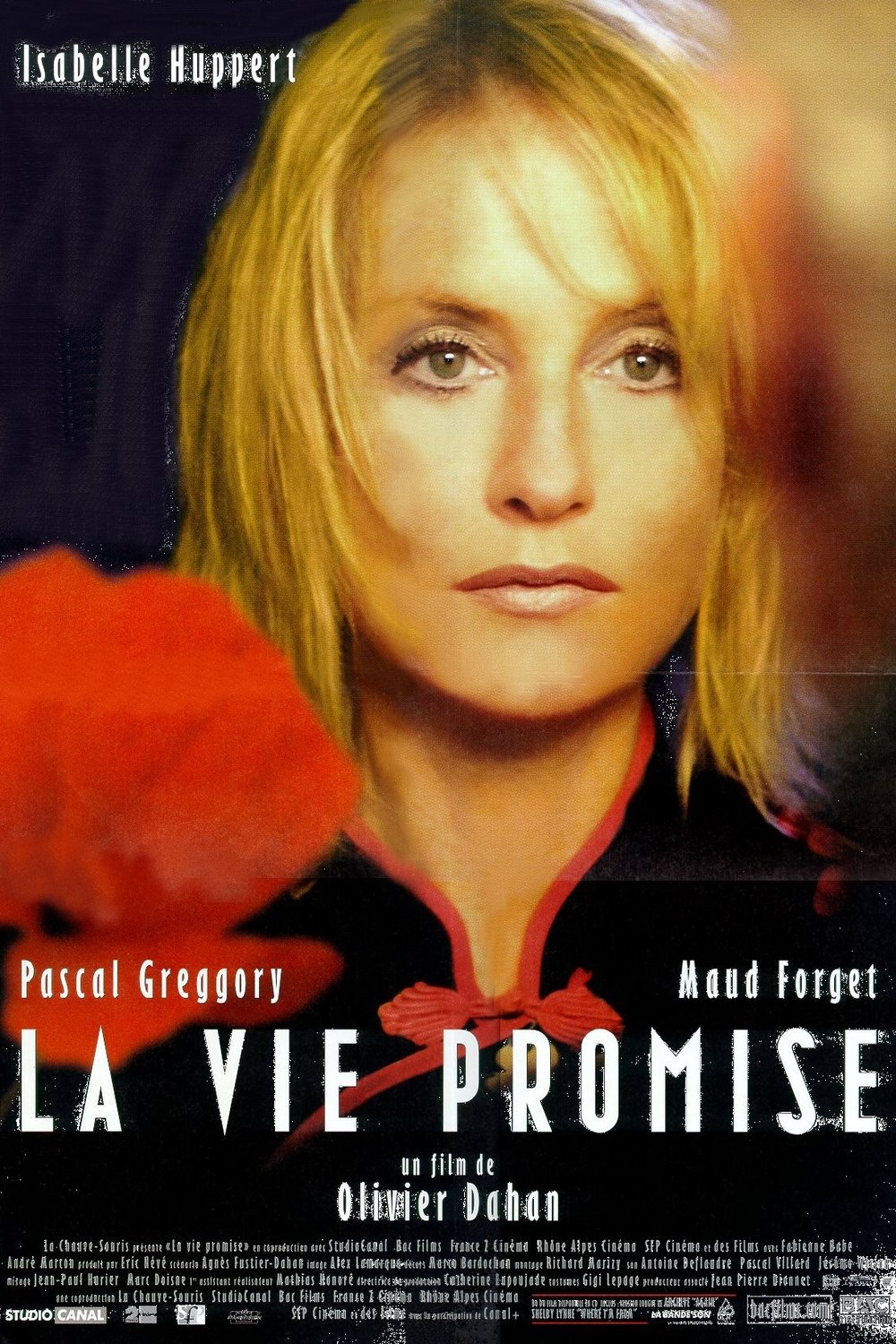 L'affiche du film La Vie promise [2001]