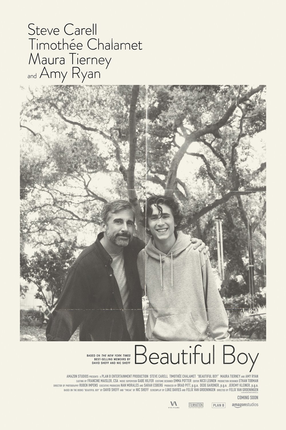 Poster of the movie Beautiful Boy [2018]