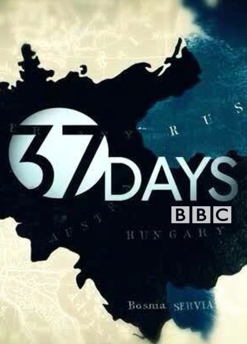 Poster of the movie 37 Days [2014]
