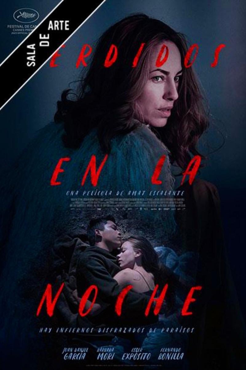 Poster of the movie Lost in the Night