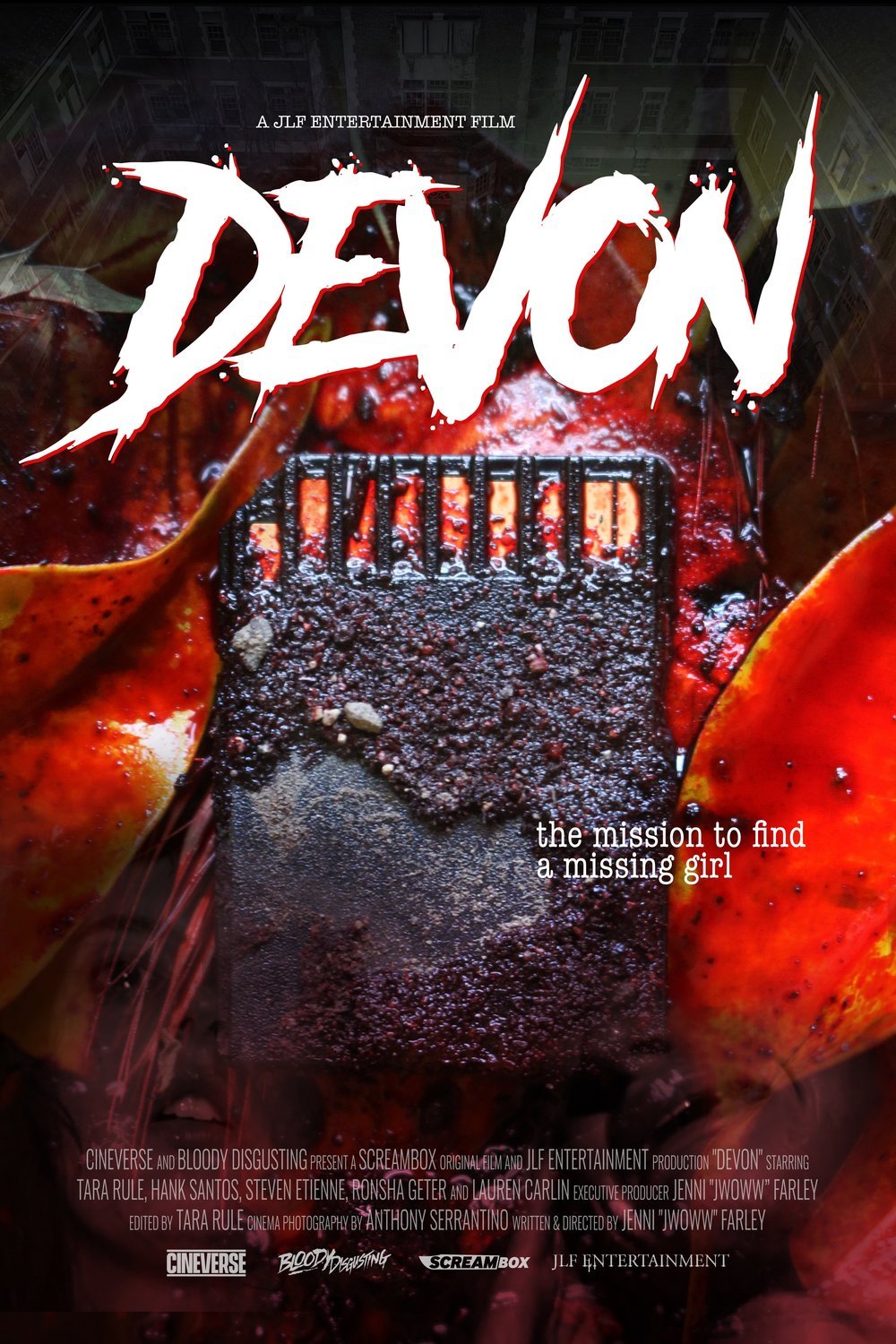 Poster of the movie Devon