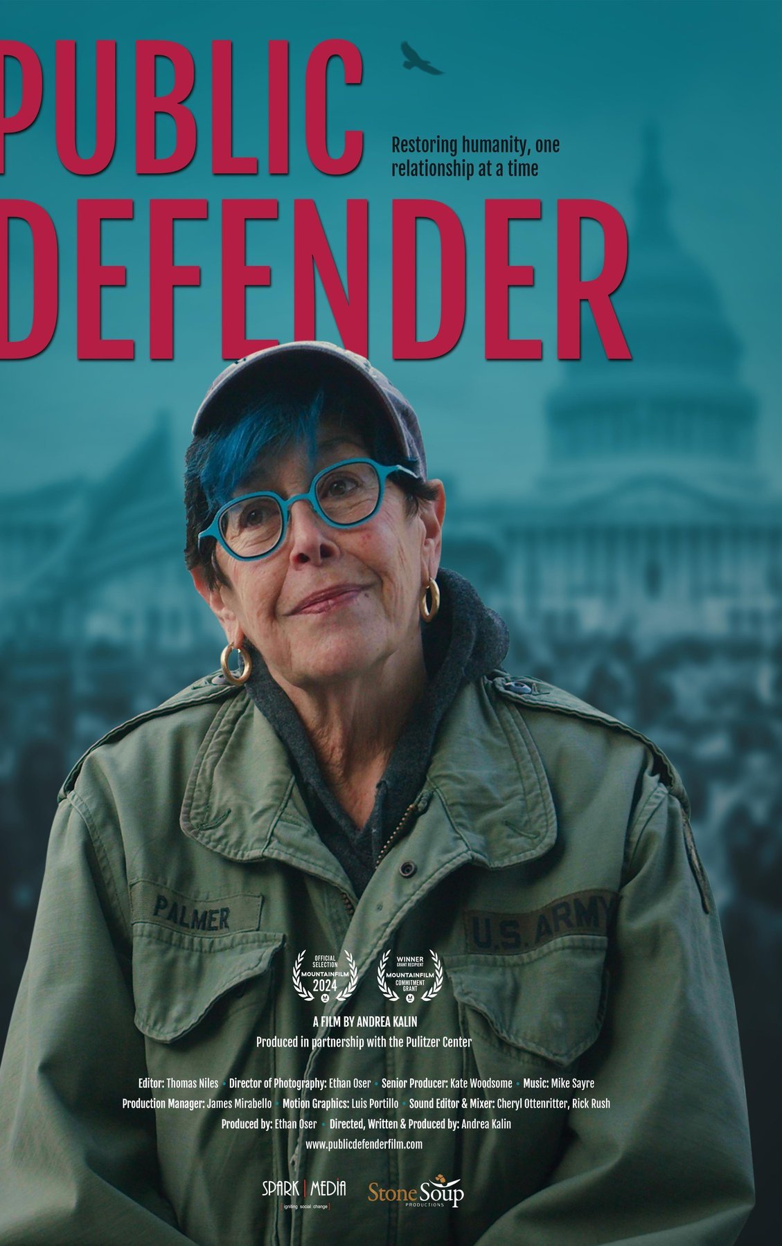 L'affiche du film Public Defender [2024]