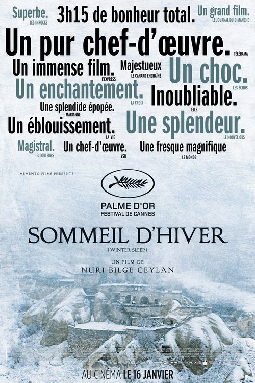 L'affiche du film Sommeil d'hiver [2014]
