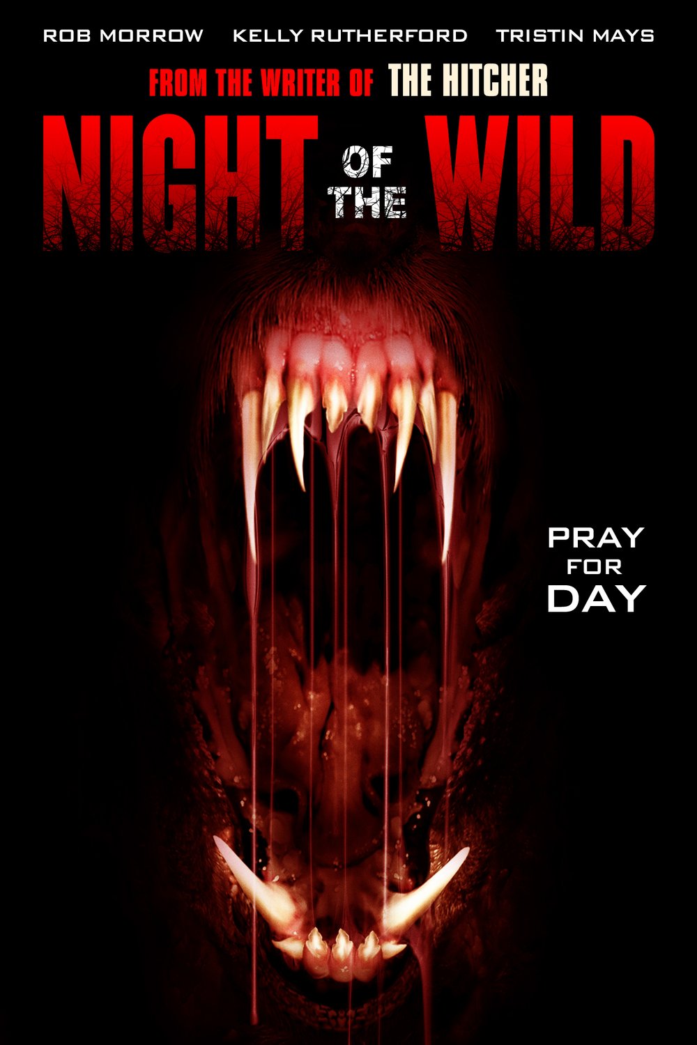 Poster of the movie Night of the Wild