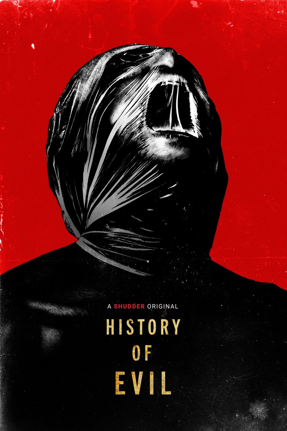 Poster of the movie History of Evil